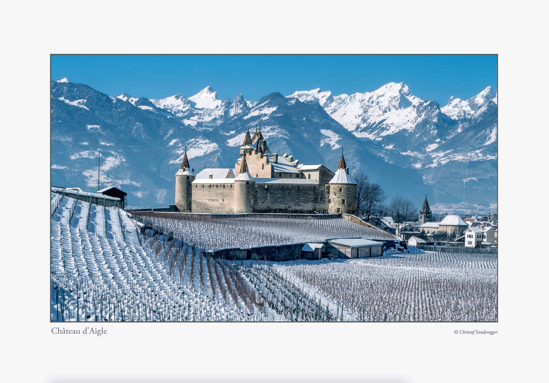 Château d'Aigle 2025