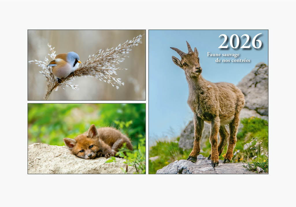 Calendrier 2026